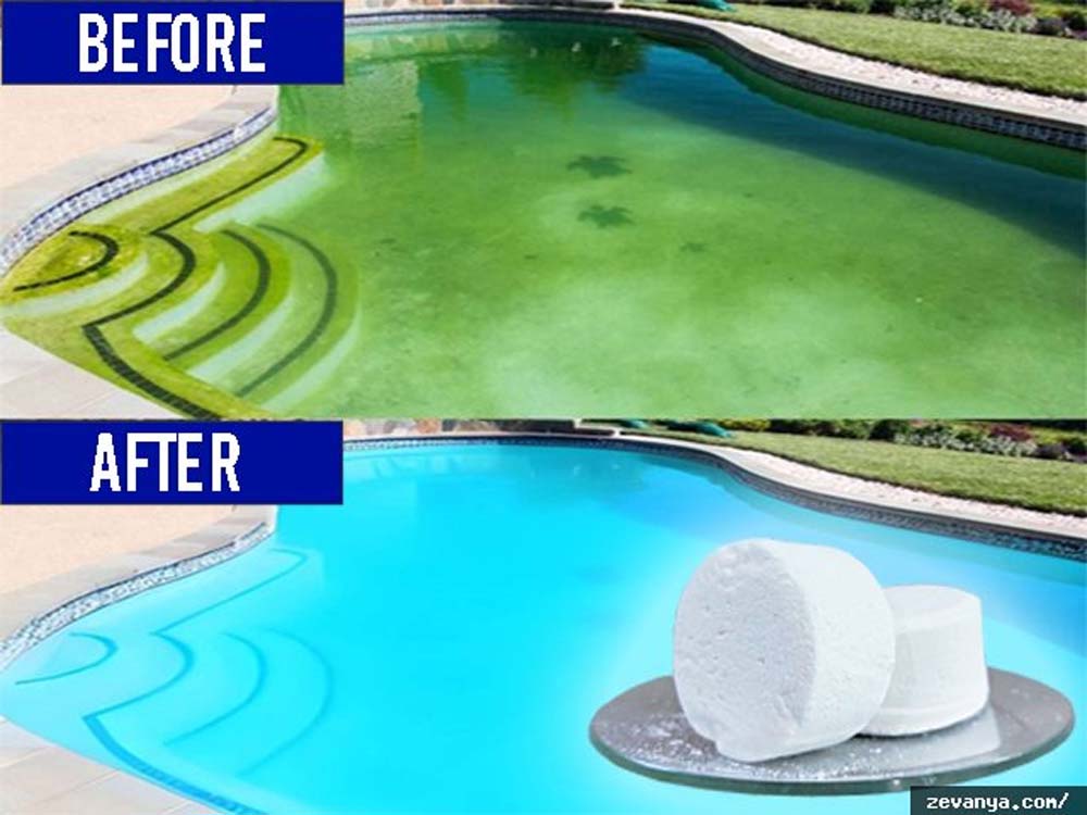 5 Tips Agar Kolam Renang Bebas Lumut dan Lendir