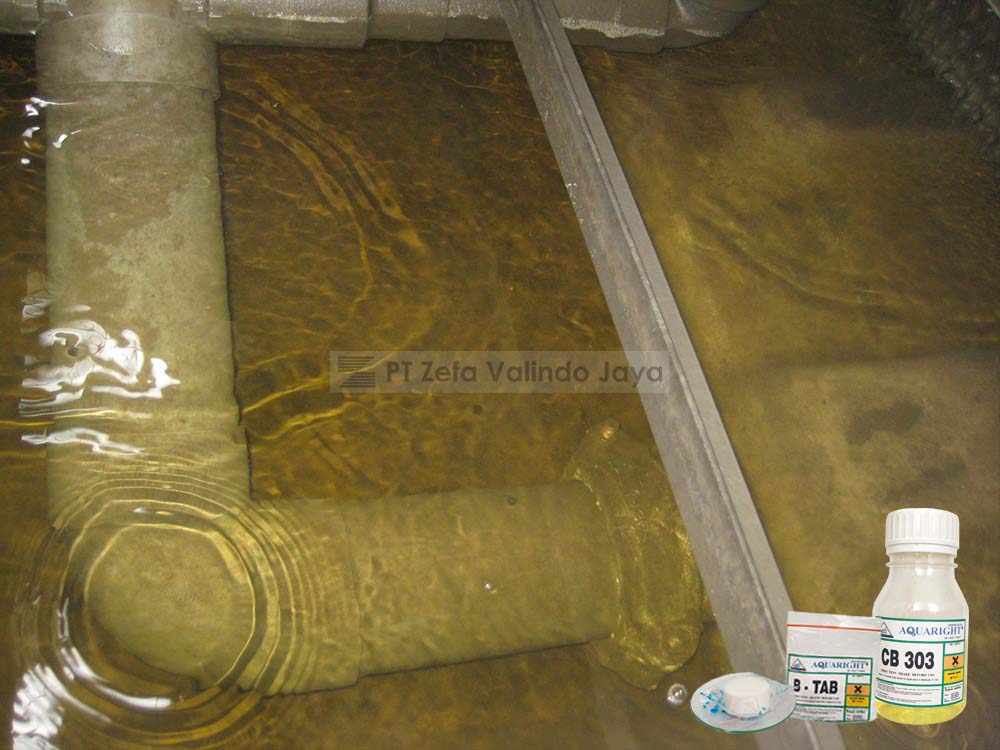 Biosida Anti Fouling pada Sistem Pendingin